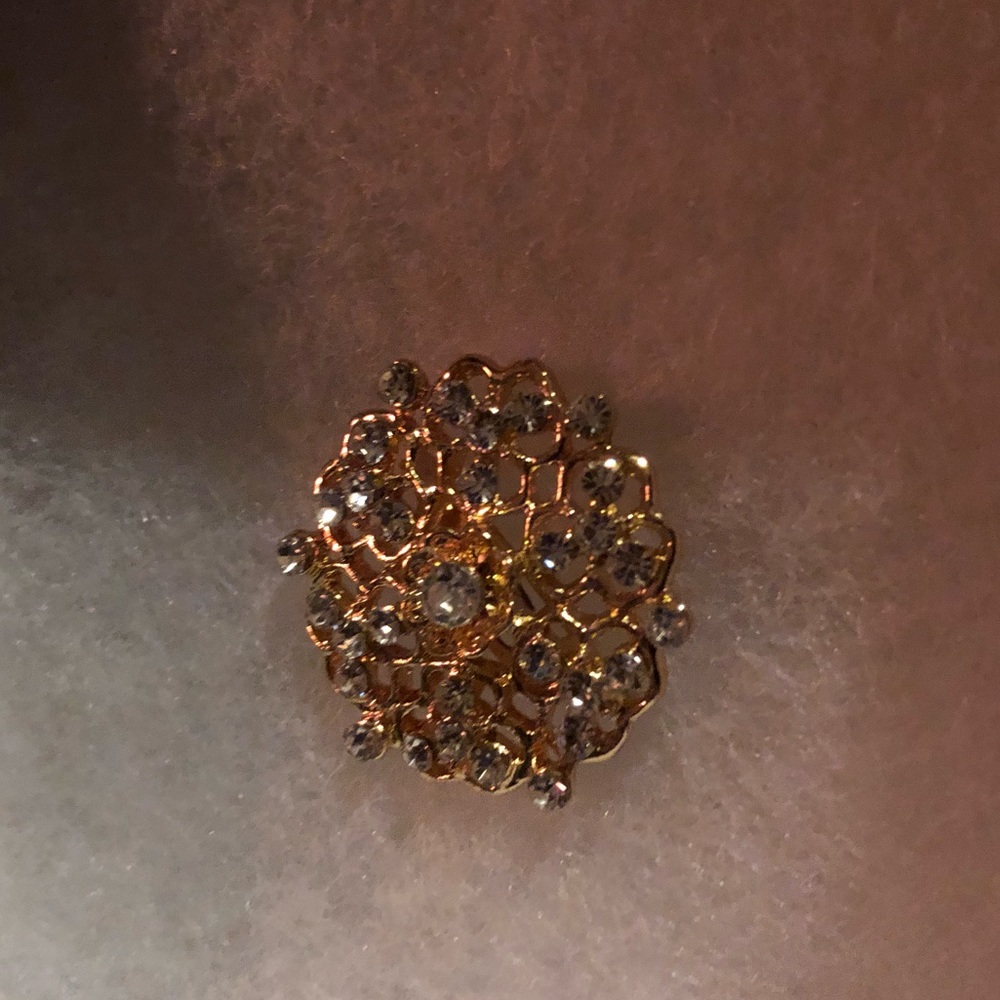 Ladies tiny brooch